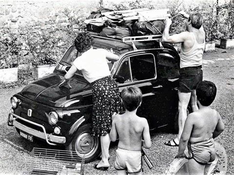 19961647 1477796852279744 8396999058746077507 n